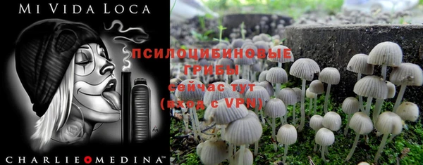 скорость Абинск