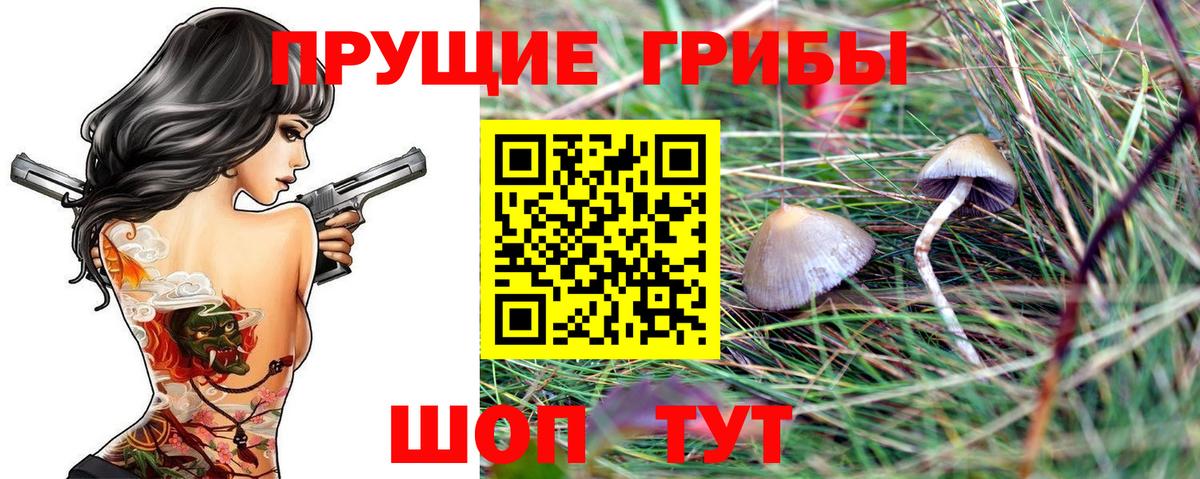 Великий Новгород  Галлюциногенные грибы MAGIC MUSHROOMS  Вход с VPN 