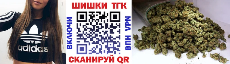 Шишки марихуана марихуана  Великий Новгород 